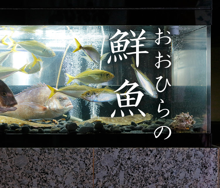 おおひらの鮮魚